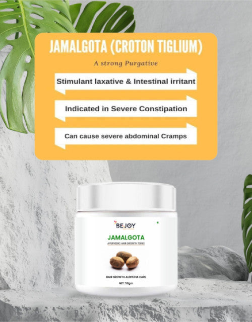 Jamalgota Ayurvedic